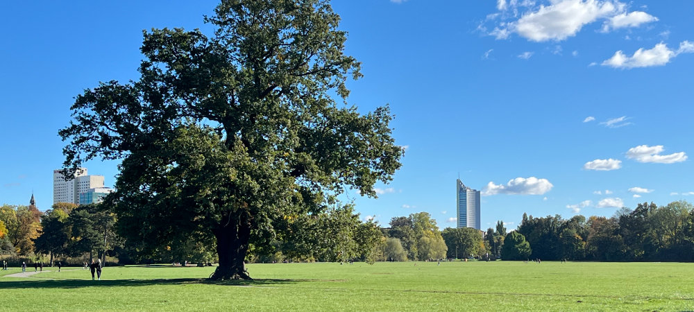 Vermittlung und Verkauf - Kompetenz für Immobilien